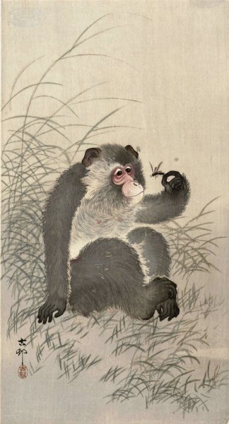 Monkey with insect  by Ohara Koson - Hand-Painted Oil Painting Reproduction