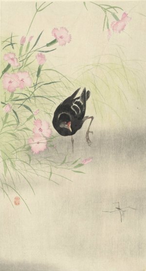 Moorhen at flowering plant by Ohara Koson Oil Painting