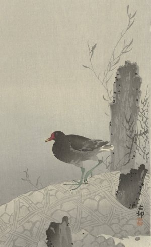 Moorhen by Ohara Koson Oil Painting