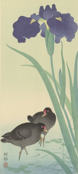 Moorhens and iris by Ohara Koson Oil Painting