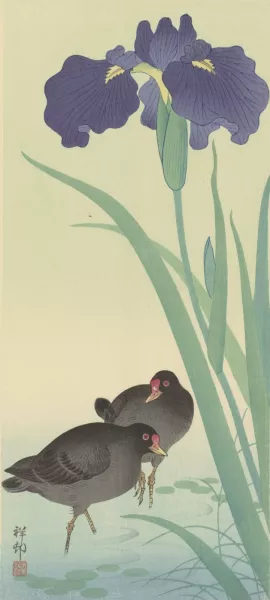 Moorhens and iris by Ohara Koson Oil Painting