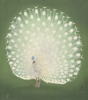 Peacock by Ohara Koson Oil Painting