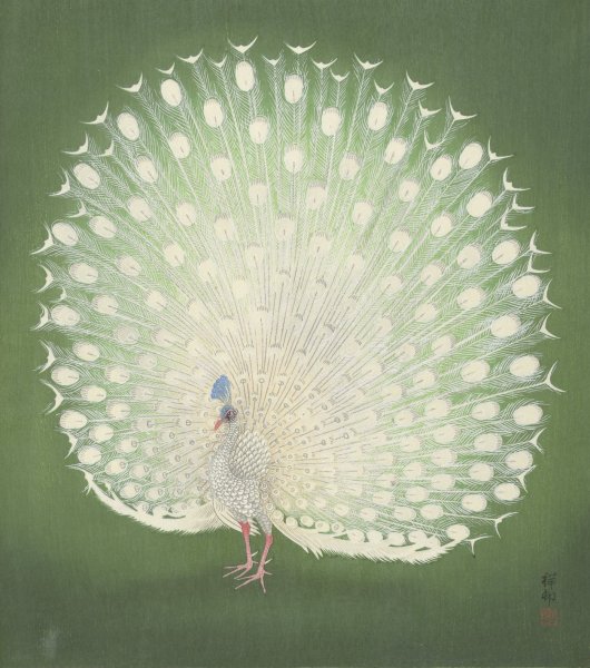 Peacock  by Ohara Koson - Hand-Painted Oil Painting Reproduction