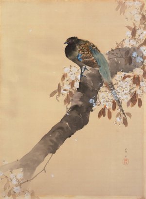 Pheasant on cherry blossom branch by Ohara Koson Oil Painting
