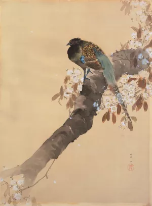 Pheasant on cherry blossom branch by Ohara Koson Oil Painting