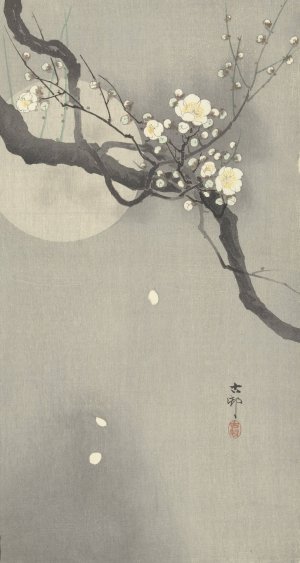 Plum blossom and full moon by Ohara Koson Oil Painting