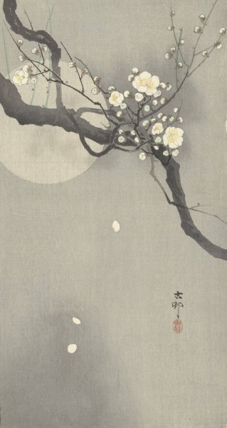 Main Product Photo of Plum blossom and full moon  Painting by Ohara Koson