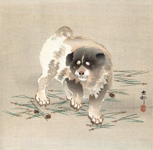 Puppy by Ohara Koson Oil Painting