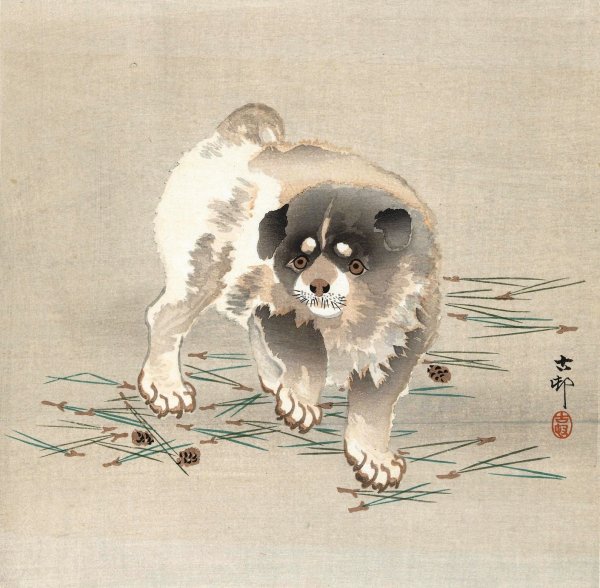 Puppy  by Ohara Koson - Hand-Painted Oil Painting Reproduction