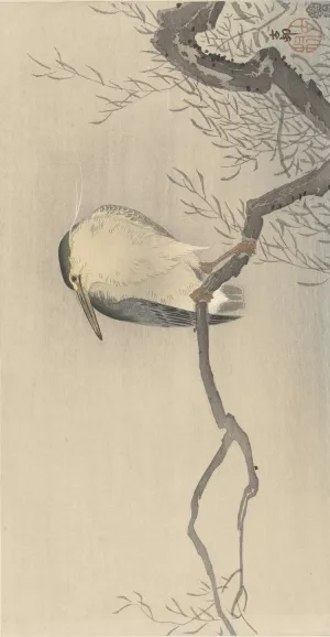 Quack on whimsical branch by Ohara Koson Oil Painting