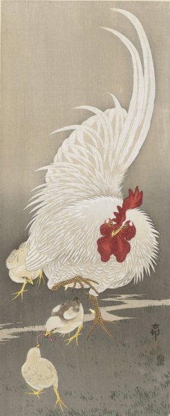Rooster and three chicks by Ohara Koson Oil Painting