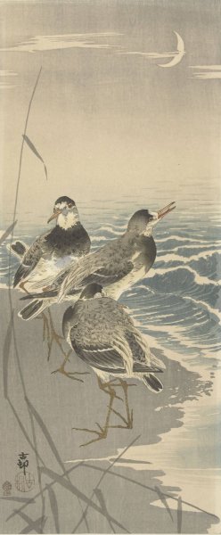 Sandpipers at sickle moon by Ohara Koson Oil Painting
