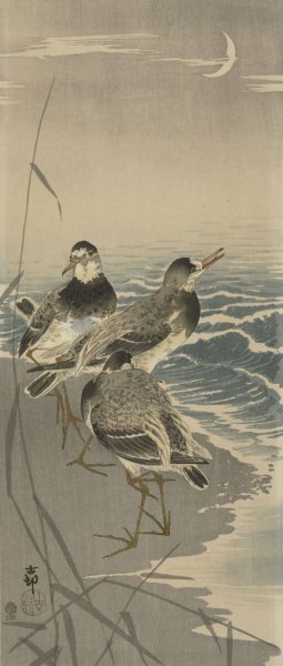 Sandpipers at sickle moon  by Ohara Koson - Hand-Painted Oil Painting Reproduction