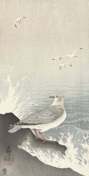 Seagull on rock by Ohara Koson Oil Painting