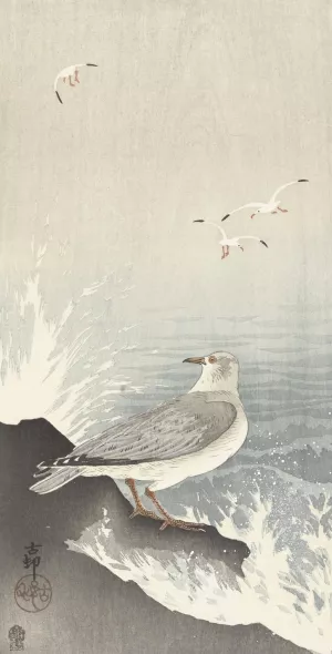 Seagull on rock by Ohara Koson Oil Painting