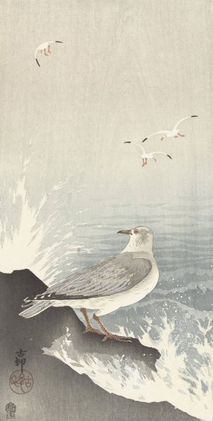 Seagull on rock  by Ohara Koson - Hand-Painted Oil Painting Reproduction