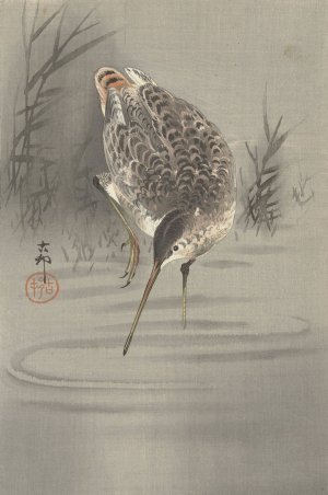 Snip in water by Ohara Koson Oil Painting