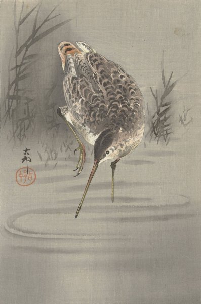 Snip in water  by Ohara Koson - Hand-Painted Oil Painting Reproduction