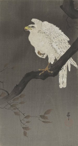Snowy eagle on a tree branch by Ohara Koson Oil Painting