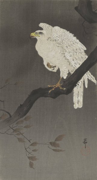 Snowy eagle on a tree branch  by Ohara Koson - Hand-Painted Oil Painting Reproduction