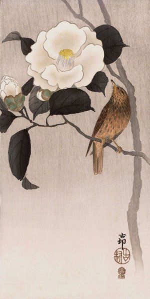 Songbird and flowering camellia by Ohara Koson Oil Painting