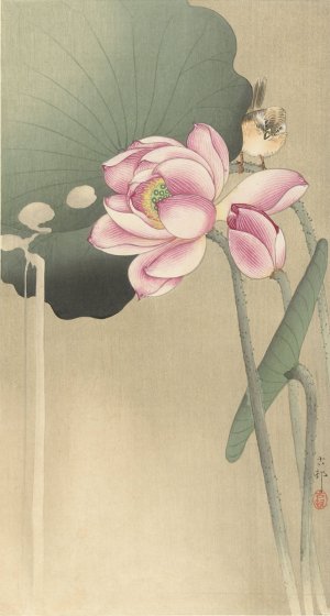 Songbird and Lotus by Ohara Koson Oil Painting