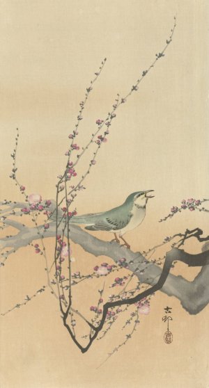 Songbird and plum blossom by Ohara Koson Oil Painting