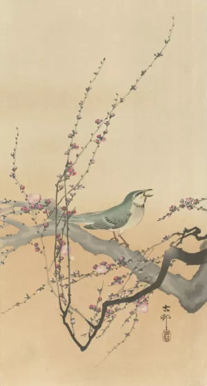 Songbird and plum blossom by Ohara Koson Oil Painting