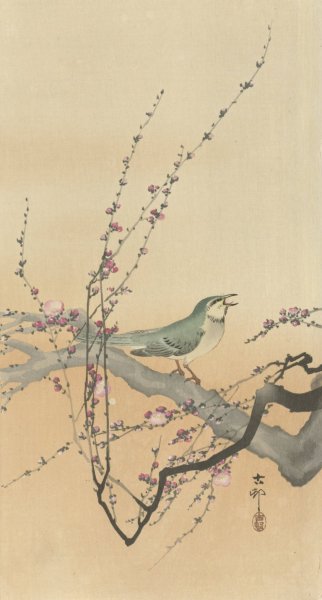 Songbird and plum blossom  by Ohara Koson - Hand-Painted Oil Painting Reproduction
