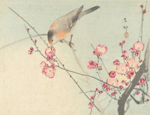 Songbird on blossom branch by Ohara Koson Oil Painting