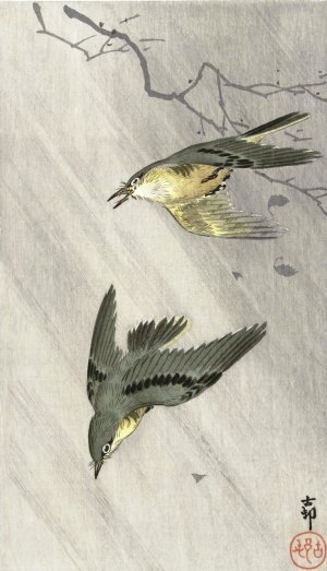 Songbirds in rain by Ohara Koson Oil Painting