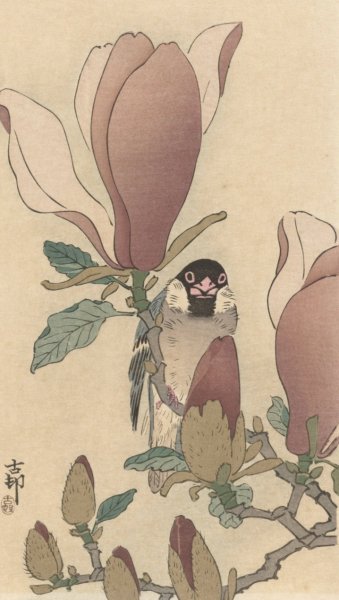 Sparrow on blooming magnolia branch  by Ohara Koson - Hand-Painted Oil Painting Reproduction