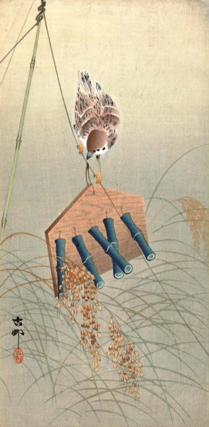Sparrow by Ohara Koson Oil Painting