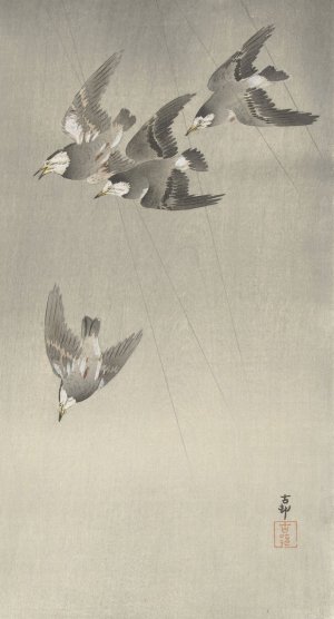 Starlings in the rain by Ohara Koson Oil Painting