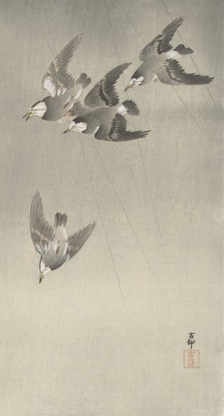 Starlings in the rain  by Ohara Koson - Hand-Painted Oil Painting Reproduction
