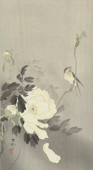 Swallow with Peony by Ohara Koson Oil Painting