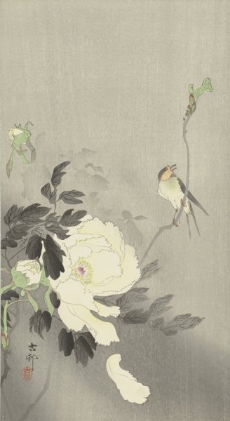 Main Product Photo of Swallow with Peony  Painting by Ohara Koson