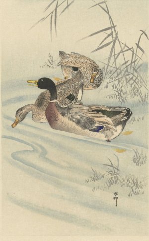 Three ducks in shallow water with reed by Ohara Koson Oil Painting
