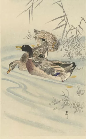 Three ducks in shallow water with reed by Ohara Koson Oil Painting