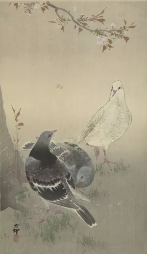 Three tame pigeons by Ohara Koson Oil Painting