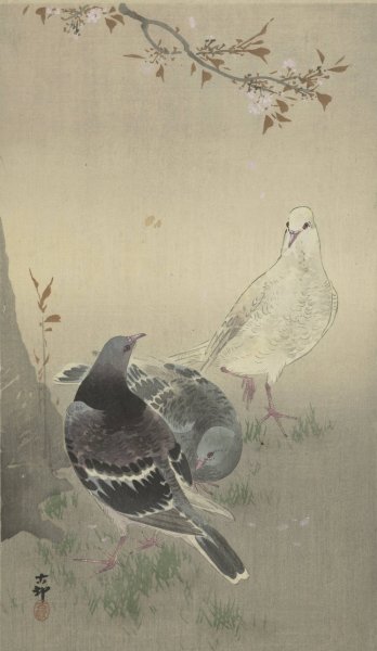 Main Product Photo of Three tame pigeons  Painting by Ohara Koson