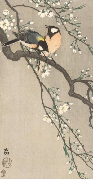 Tits on Cherry Branch by Ohara Koson Oil Painting