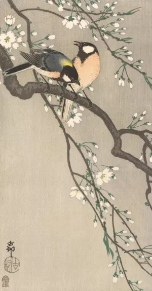 Tits on Cherry Branch by Ohara Koson Oil Painting