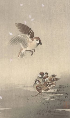 Tree sparrow with young by Ohara Koson Oil Painting