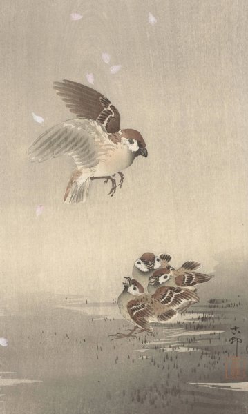 Tree sparrow with young  by Ohara Koson - Hand-Painted Oil Painting Reproduction