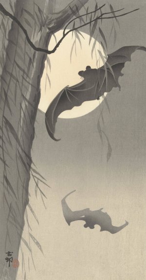 Two bats at full moon by Ohara Koson Oil Painting