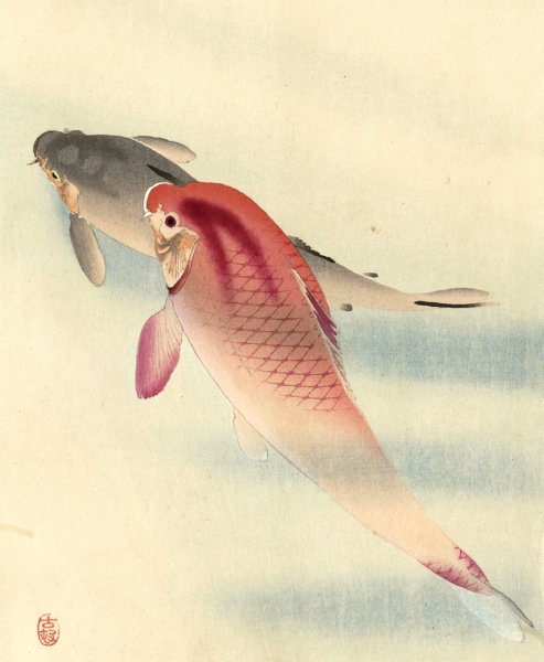 Main Product Photo of Two Carp  Painting by Ohara Koson