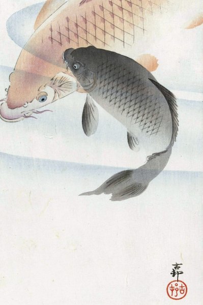 Main Product Photo of Two Carps  Painting by Ohara Koson