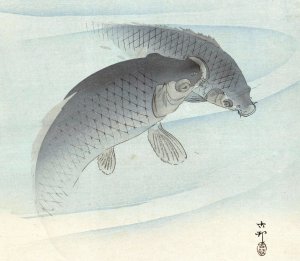 Two Carps by Ohara Koson Oil Painting