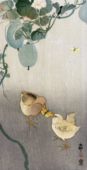 Two chicks fighting for butterfly by Ohara Koson Oil Painting